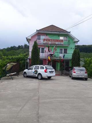 Гостевой дом Pensiunea Vidra Бэйле-Феликс-0