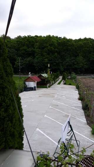 Гостевой дом Pensiunea Vidra Бэйле-Феликс-4