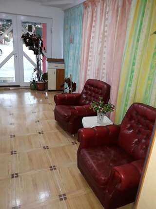 Гостевой дом Pensiunea Vidra Бэйле-Феликс-6